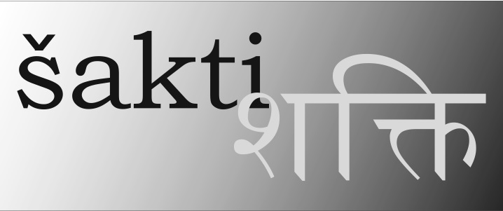 Купить товарный знак sakti